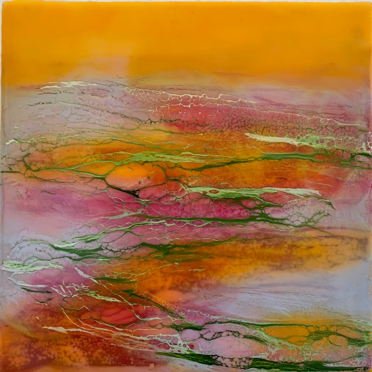 Desert sunset by Alane Holsteen 