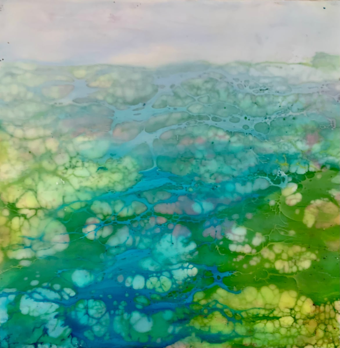 The Grace of the Earth by Alane Holsteen 