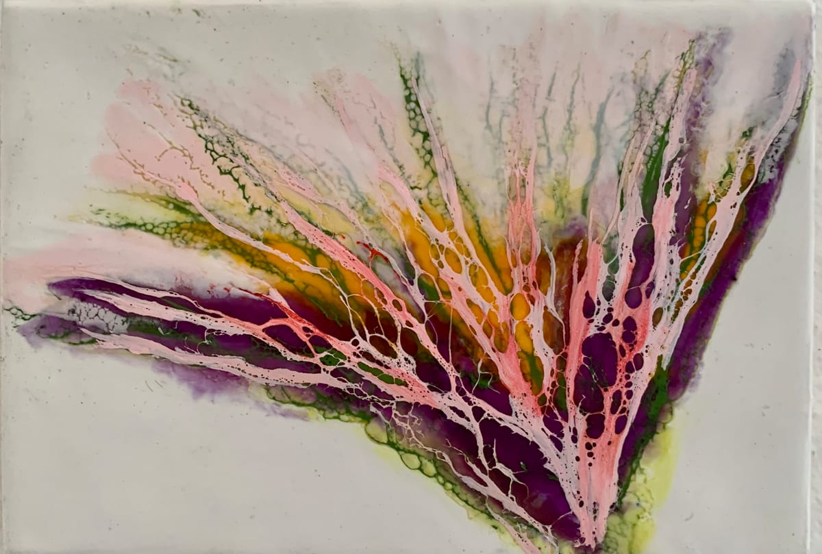 Flora 6 by Alane Holsteen 