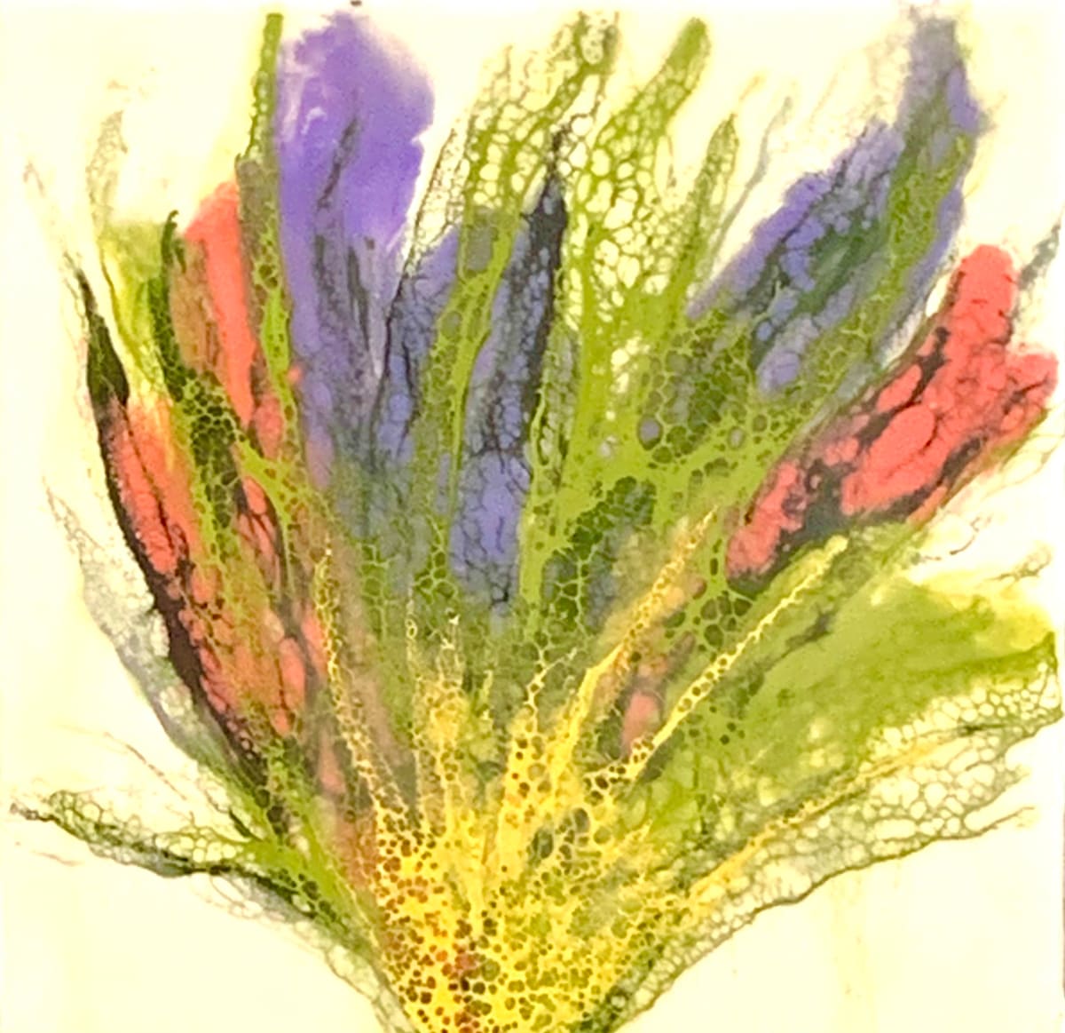 Sunshine by Alane Holsteen 