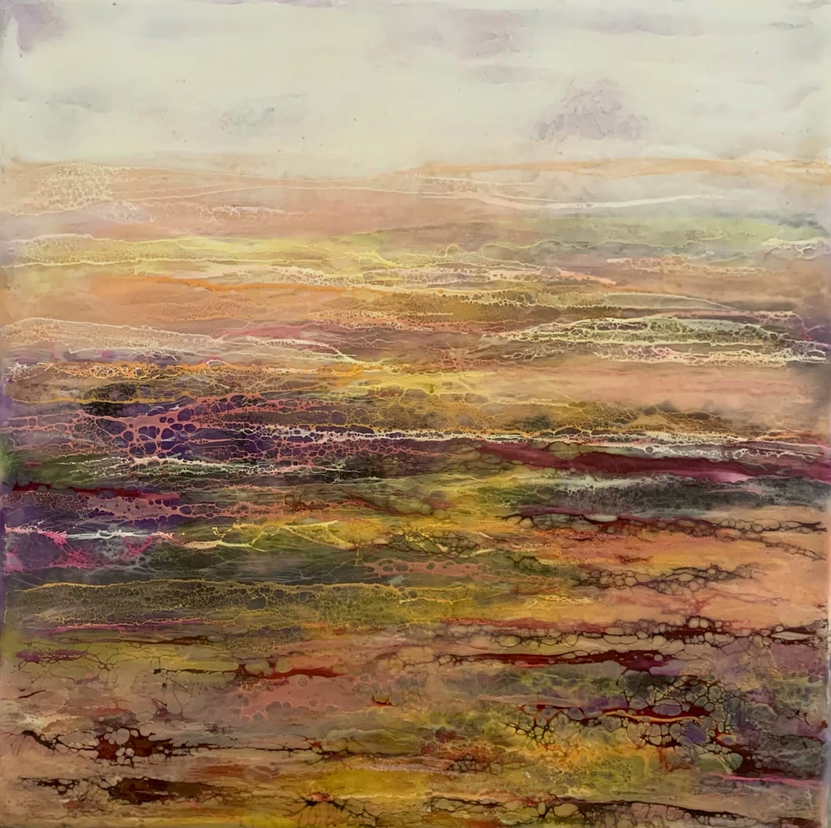 Sonoran by Alane Holsteen 