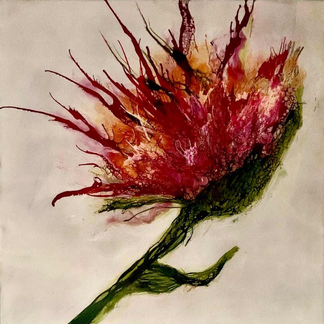 Wild Flower by Alane Holsteen 