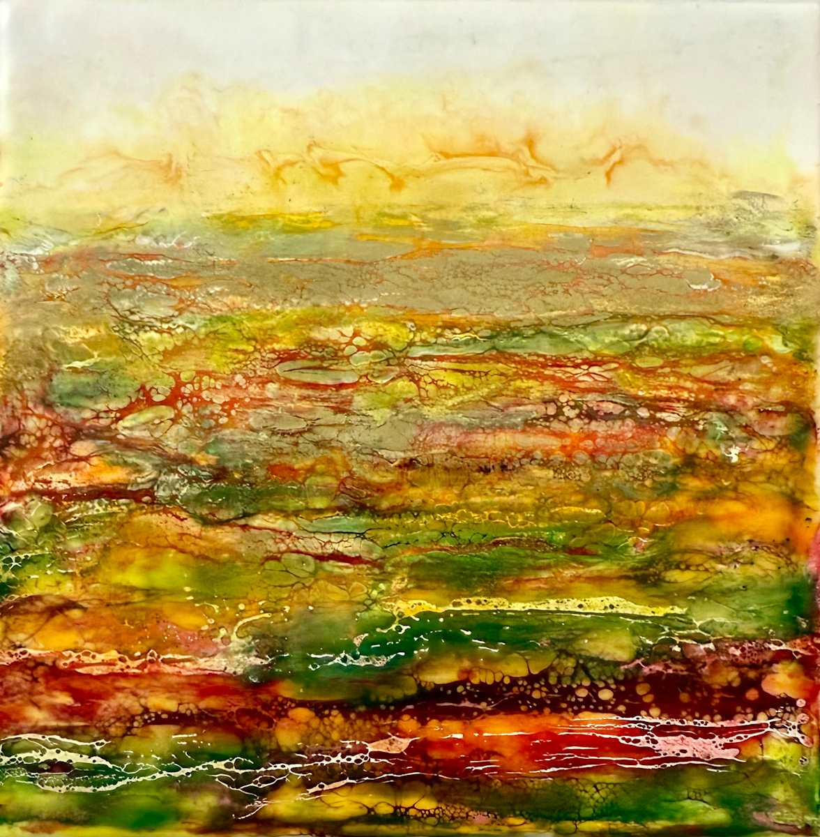 Sky on Fire by Alane Holsteen 