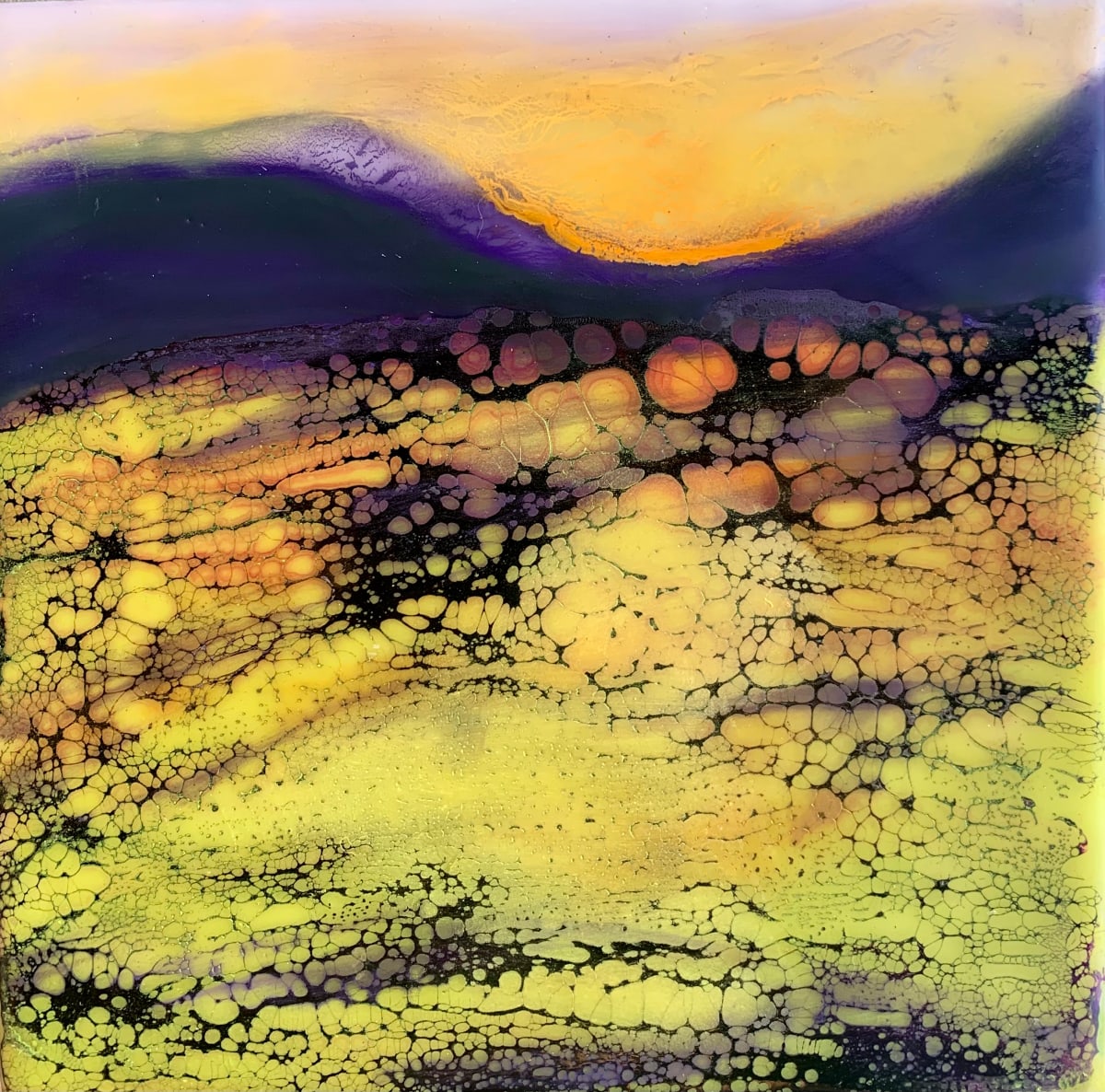 Colorado Sunset by Alane Holsteen 