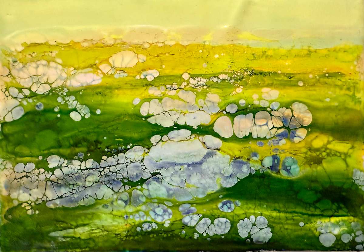 Sun Kissed by Alane Holsteen 