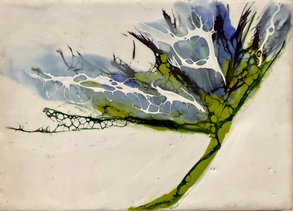 Today T Saw Your Soul by Alane Holsteen 