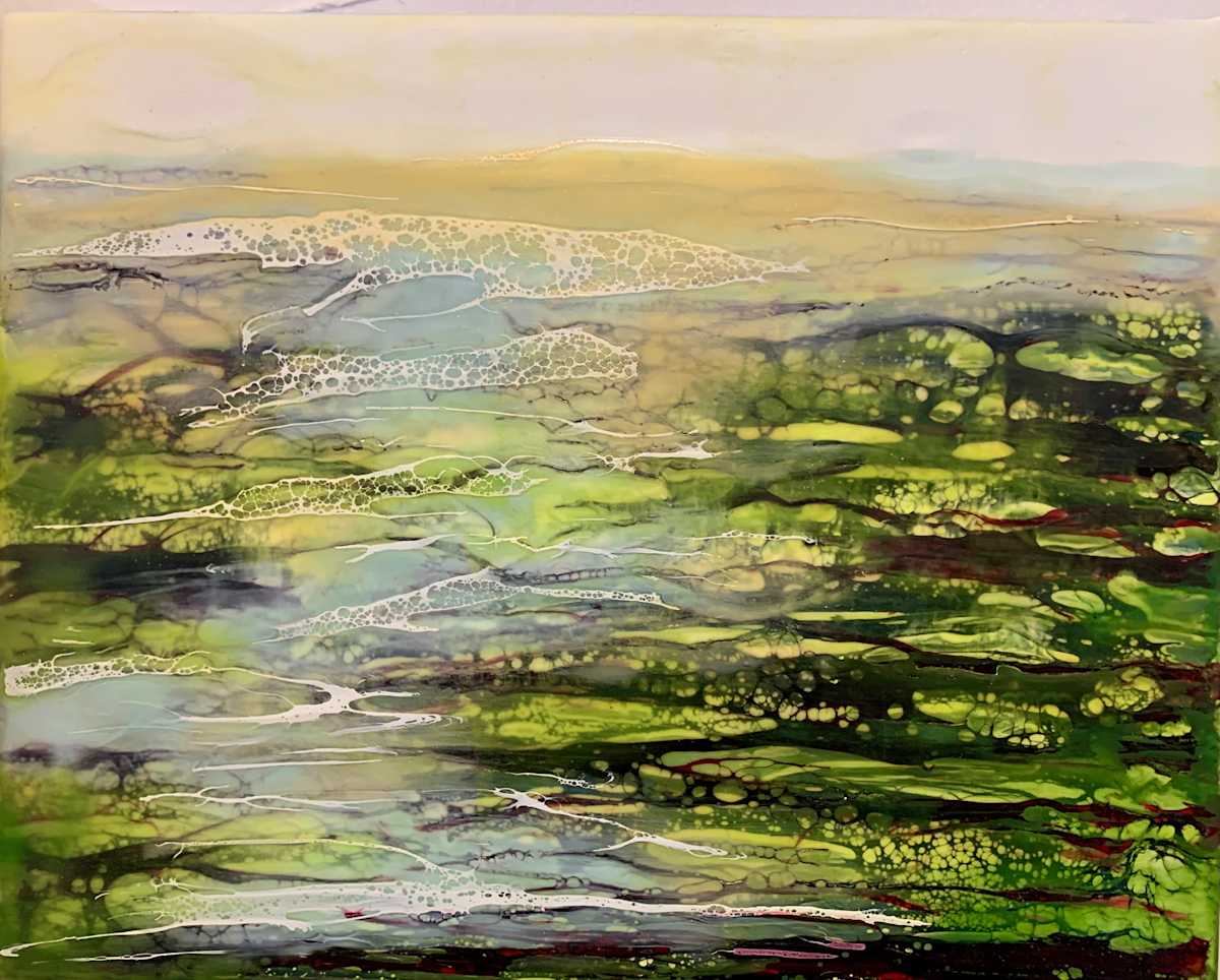 Illumine by Alane Holsteen 