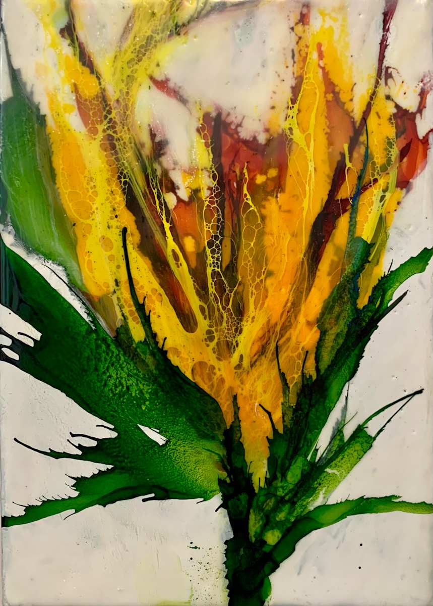 Ignis by Alane Holsteen 