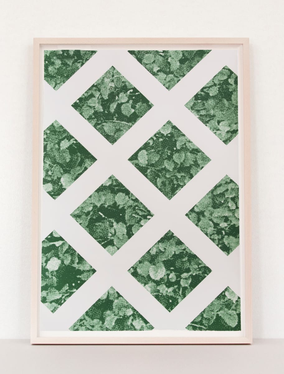 Green Hedge by Elizabeth Corkery 