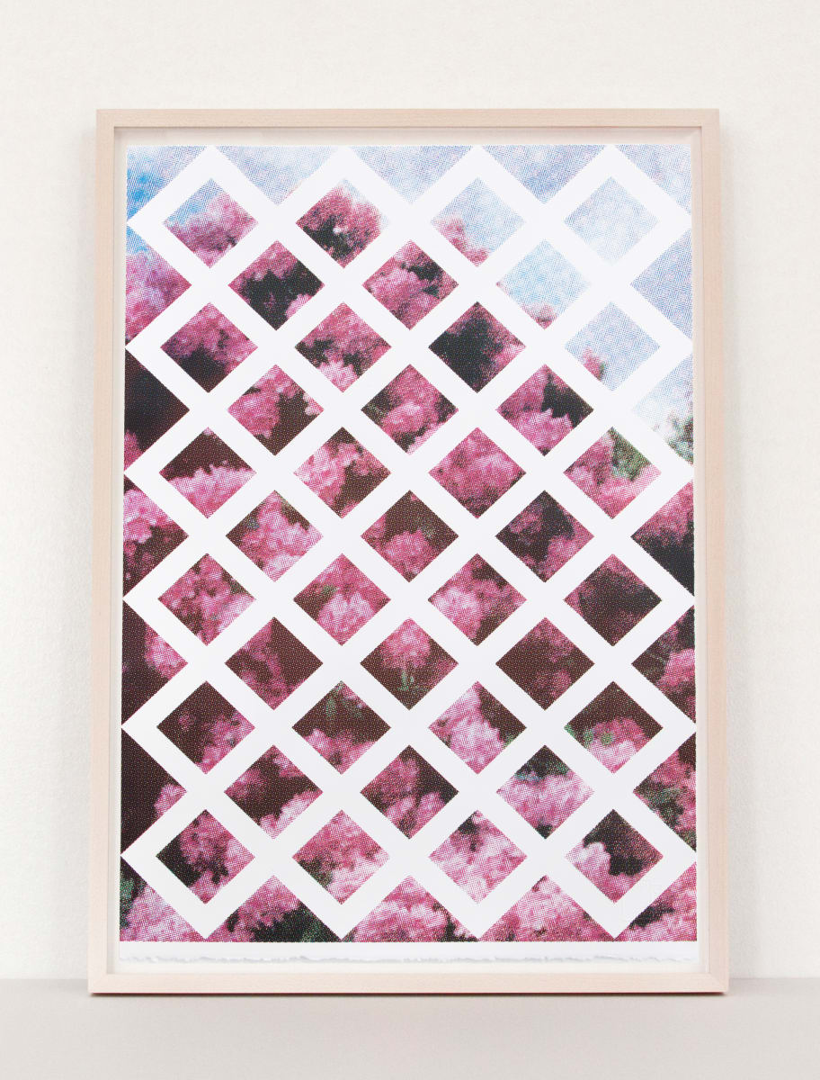 Pink Floral Trellis by Elizabeth Corkery 