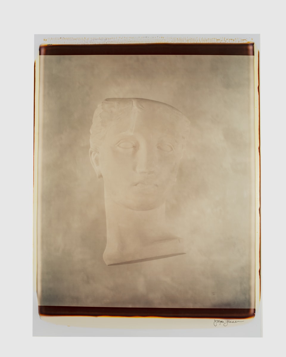 Untitled (from "Still Life") by Joyce Tenneson 