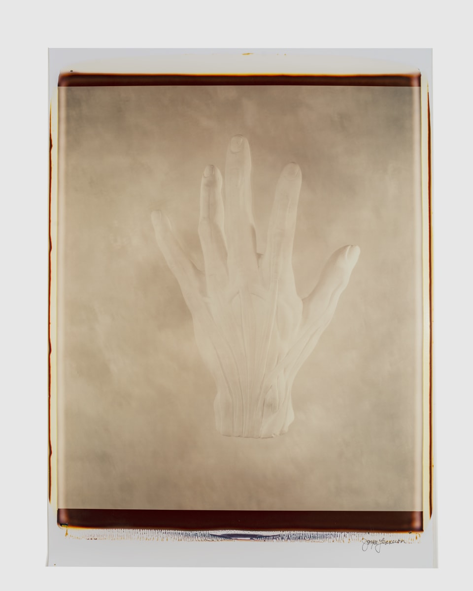 Untitled (from "Still Life") by Joyce Tenneson 