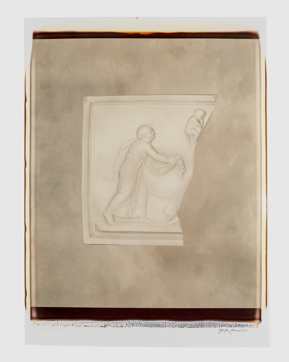 Untitled (from "Still Life") by Joyce Tenneson 