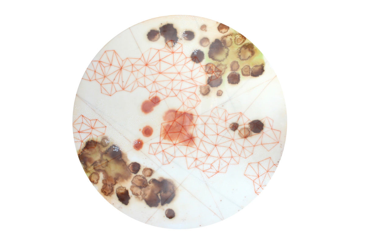 Salt Study #2 by Lisa Kairos 