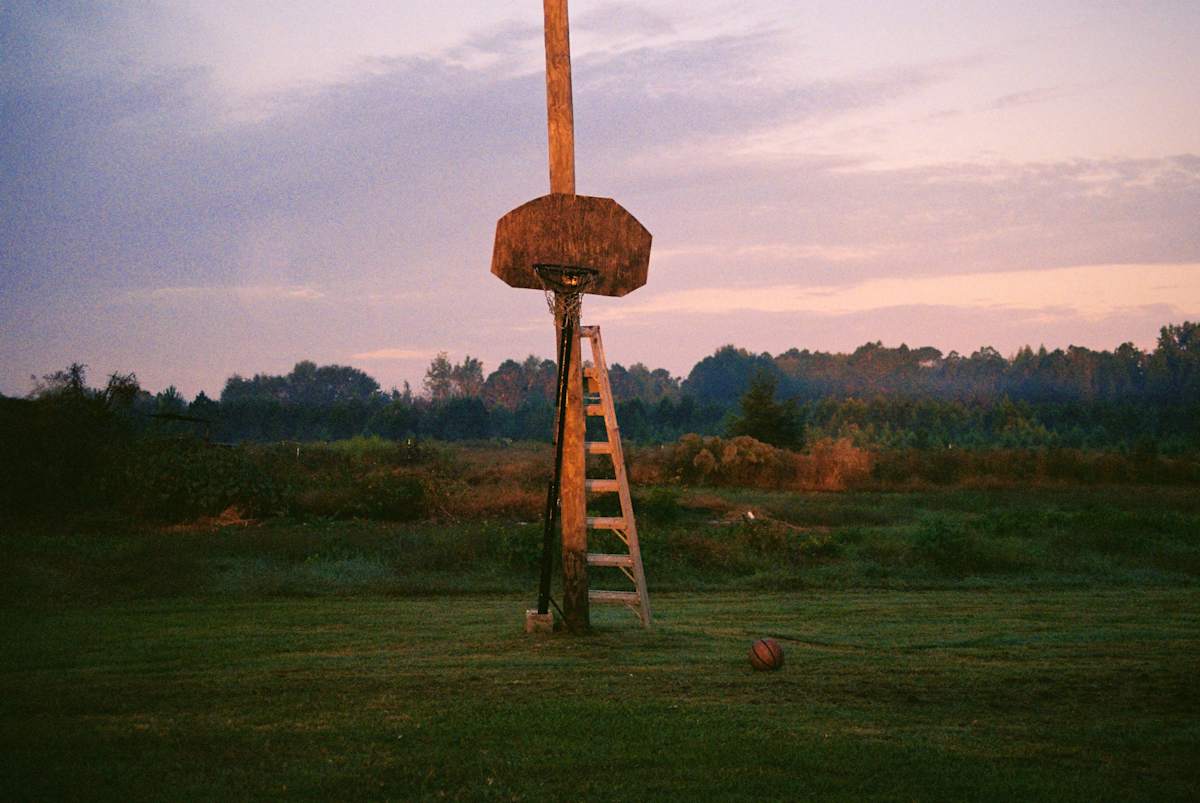 Provision by Kela Portee, Image 5.