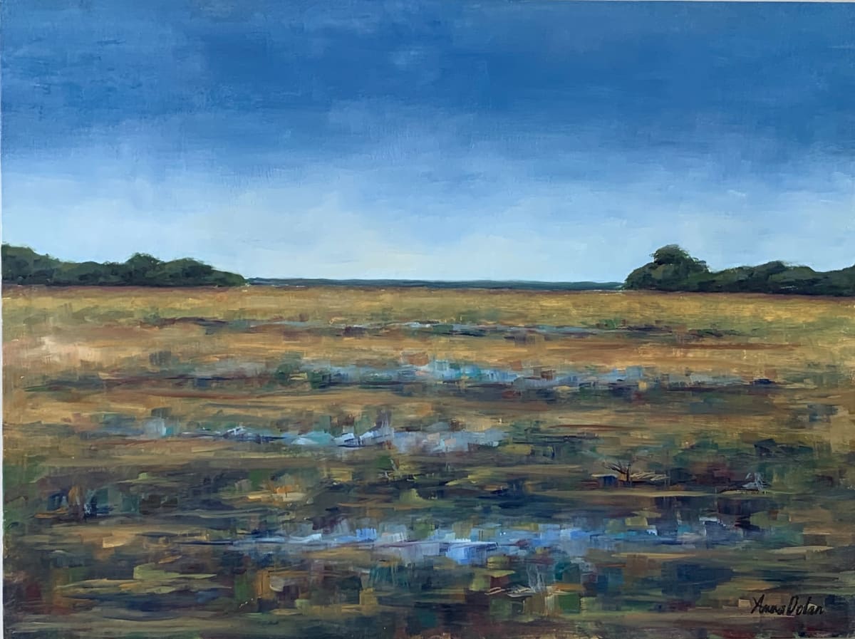 James Island Morning by Anna Dolan 