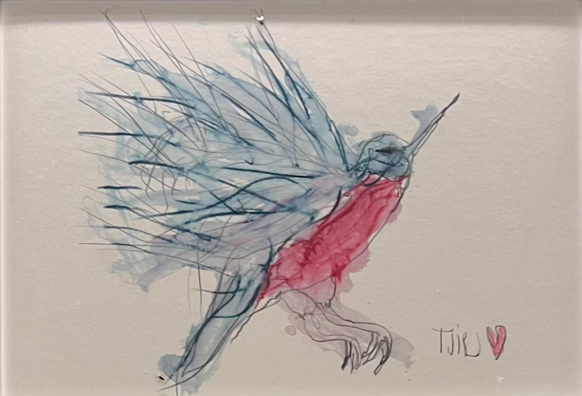 Bird. Humming. by Tijili Grant Wetherill 