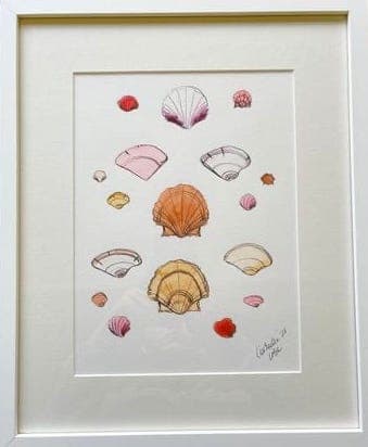Pink Shells by Lia Burke Libaire 