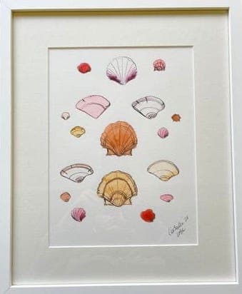 Pink Shells by Lia Burke Libaire, Image 2.