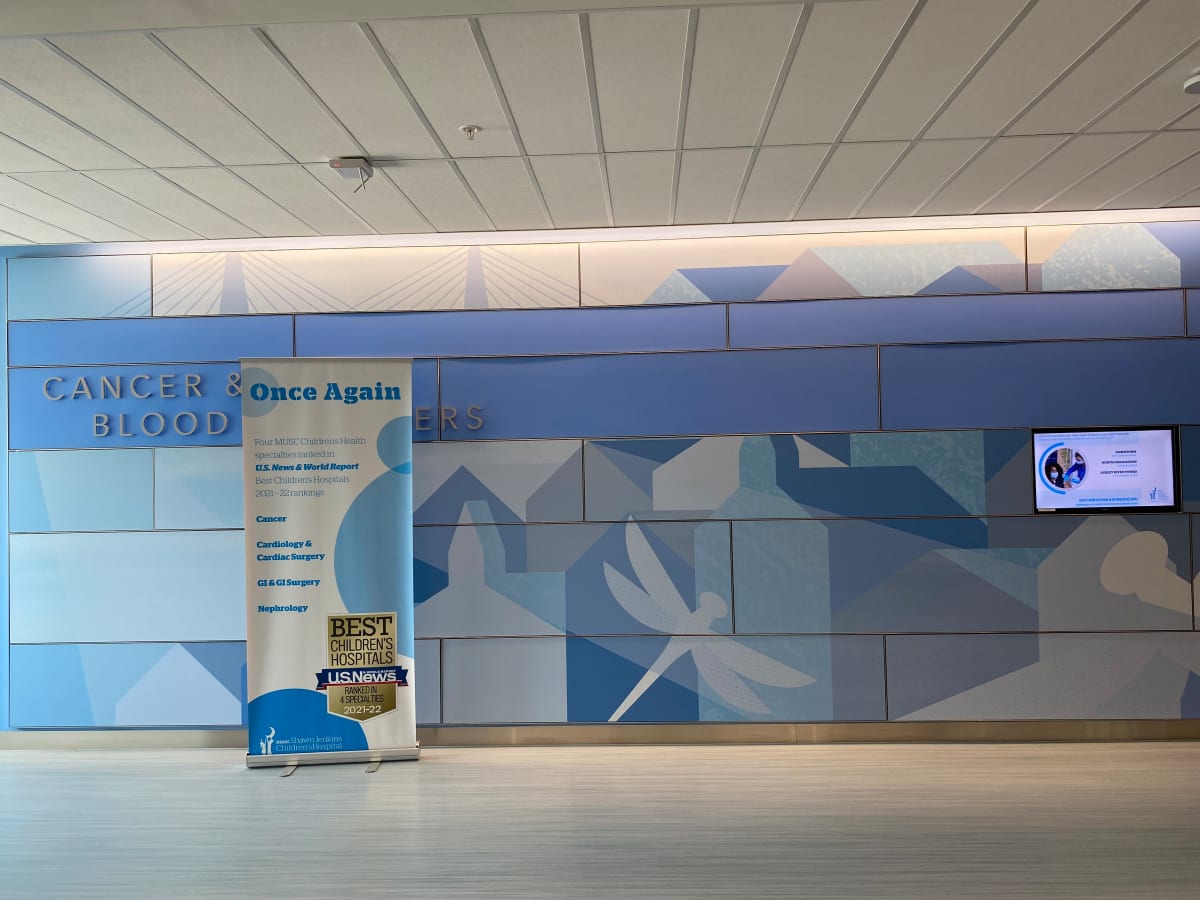 Theme Wall Graphics by SDCO Partners 