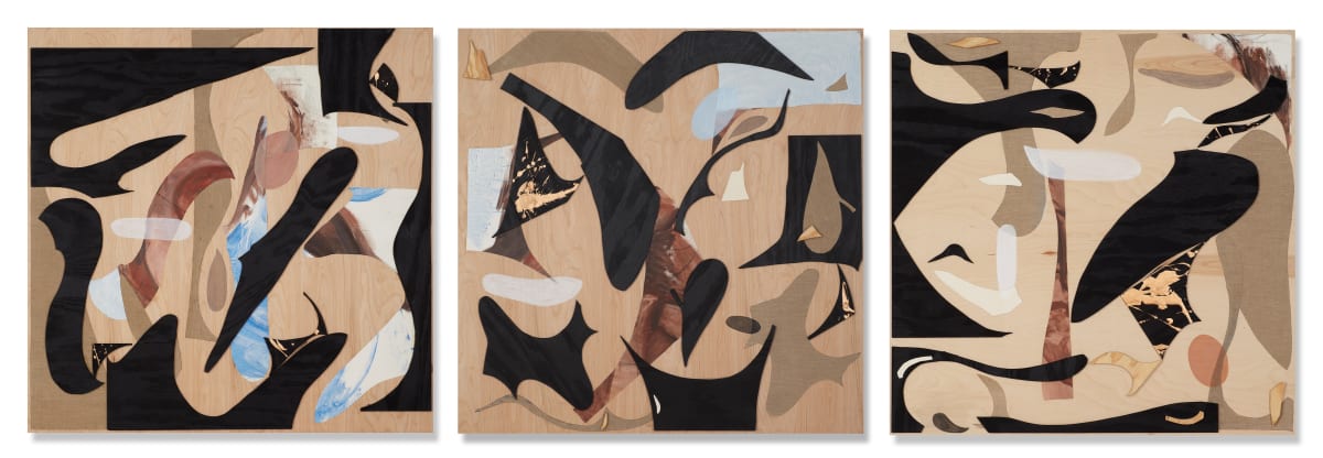 Velocity Redux II by Ginny Sykes, Image 1.