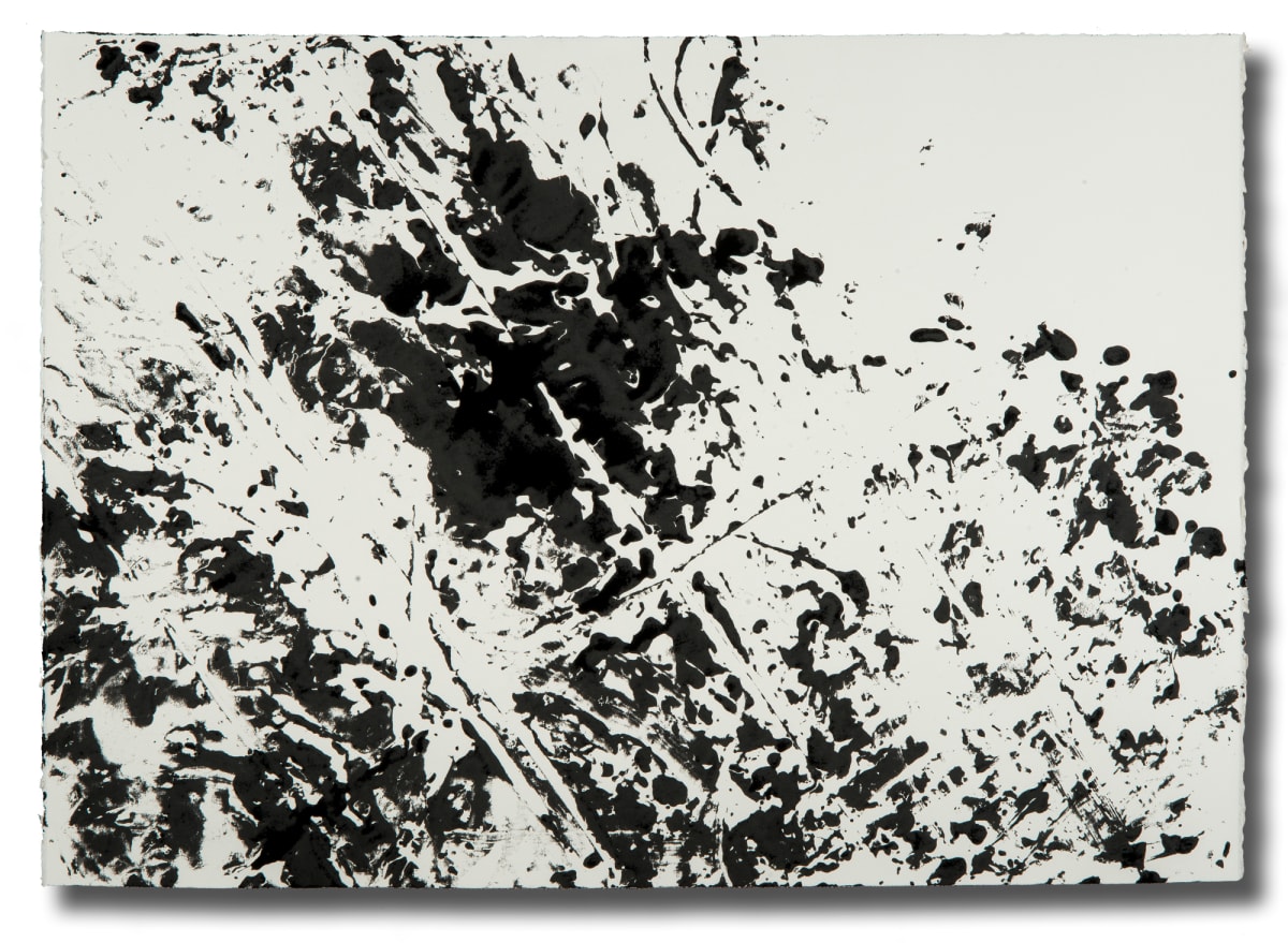 Disastroso #1 by Ginny Sykes, Image 1.
