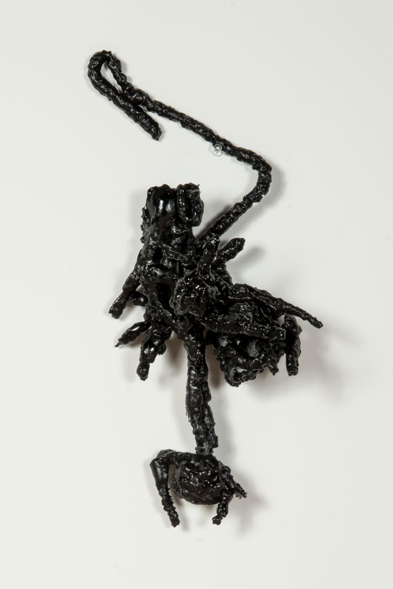 il Disastroso #7 by Ginny Sykes, Image 1.