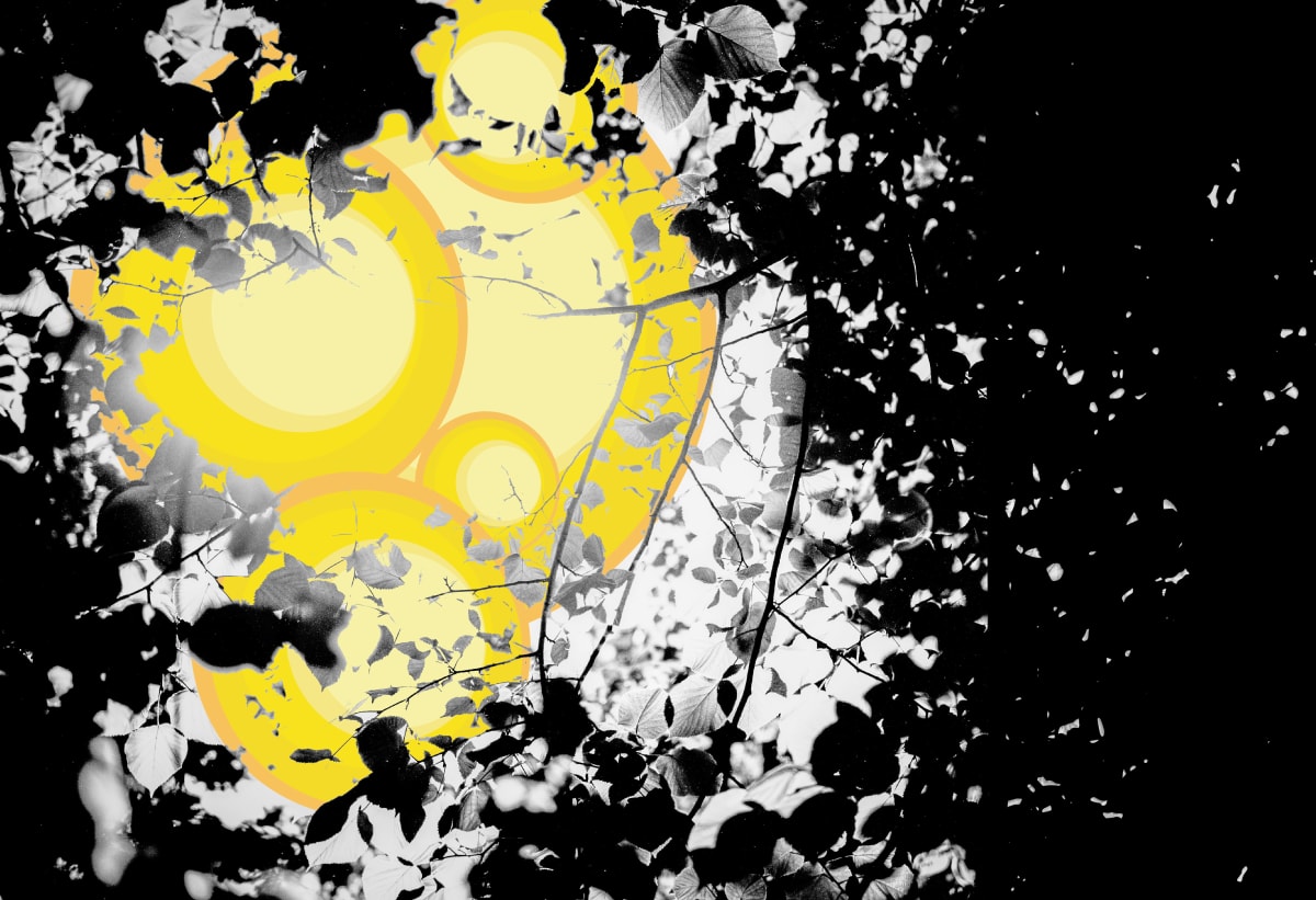 Sunbeams at Manito Park by Miguel Maltos Gonzales  Image: Sunbeams breaking though the tree canopy at Manito Park in Spokane, WA. Leica M6, Leica 35mm Summicron ASPH, Washi Film S (Click the purchase link for size options)