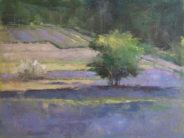 Lavender Fields Forever by Deb Kirkeeide 