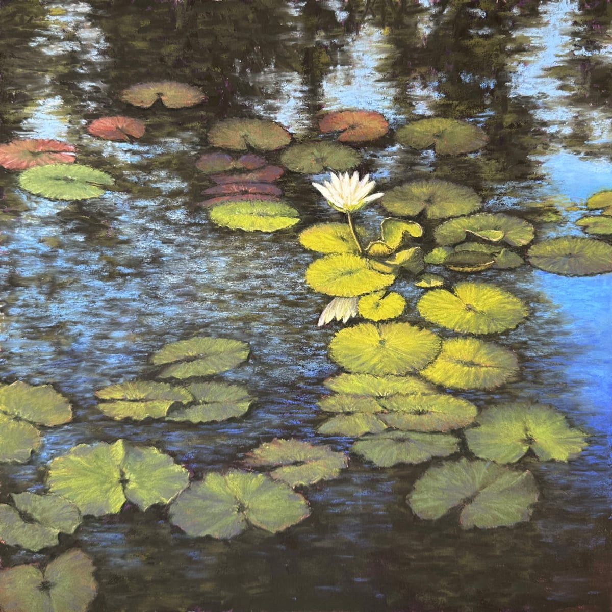 Afternoon Light by Lisa Cunningham 