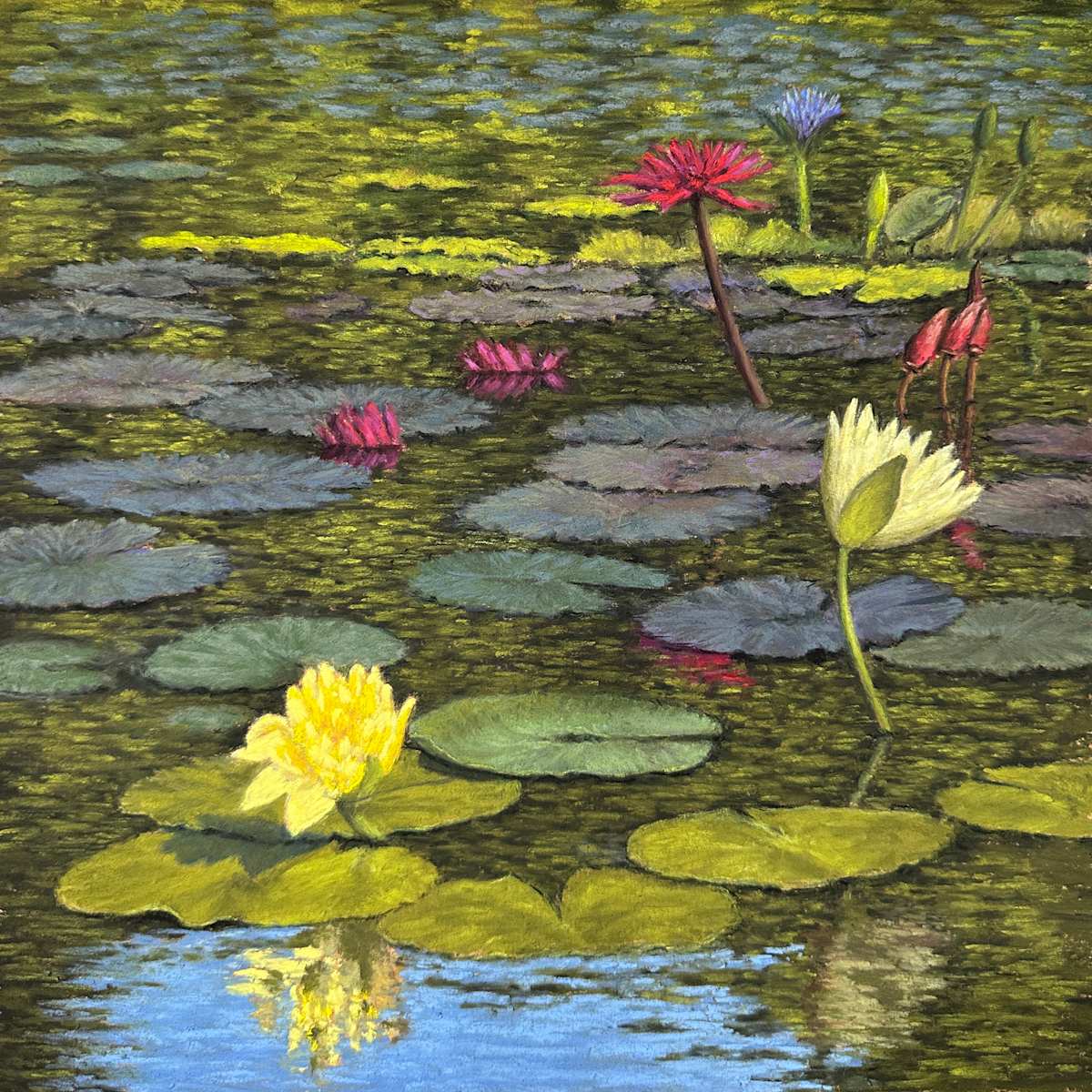Harmony Afloat by Lisa Cunningham, Image 1.