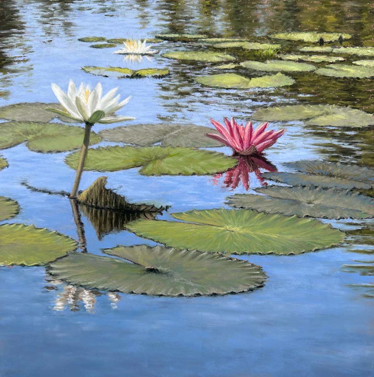 Tranquil Waters by Lisa Cunningham 
