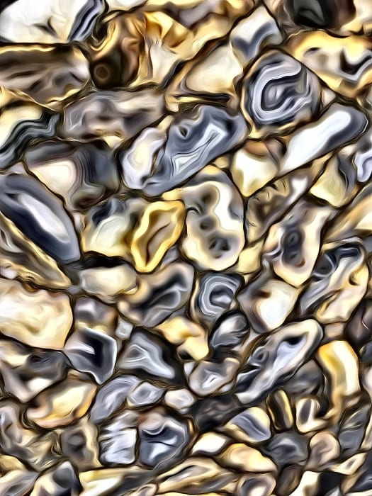 Opihi Aina Haina by Robin Moore 