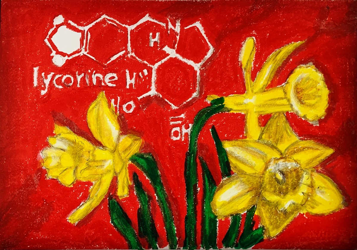Daffodils Are Deadly by Robin Moore, Image 3.