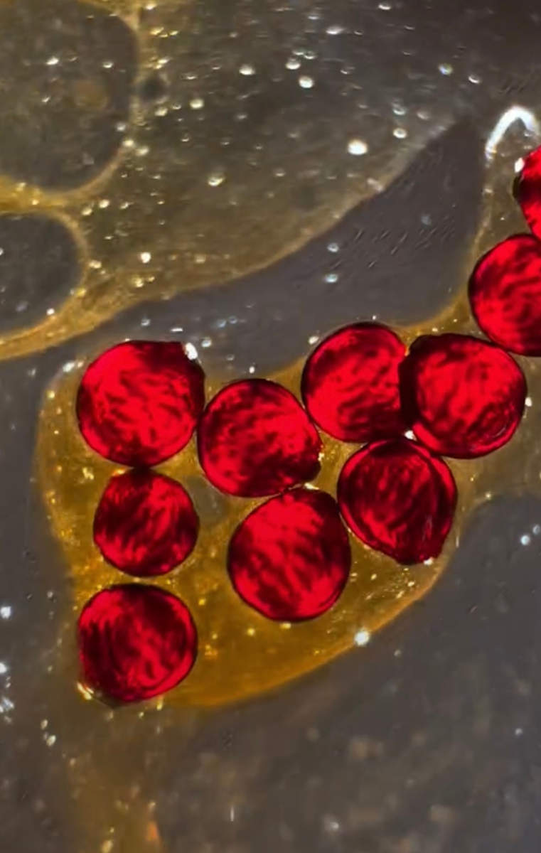 Macro 93 by Robin Moore, Image 7.