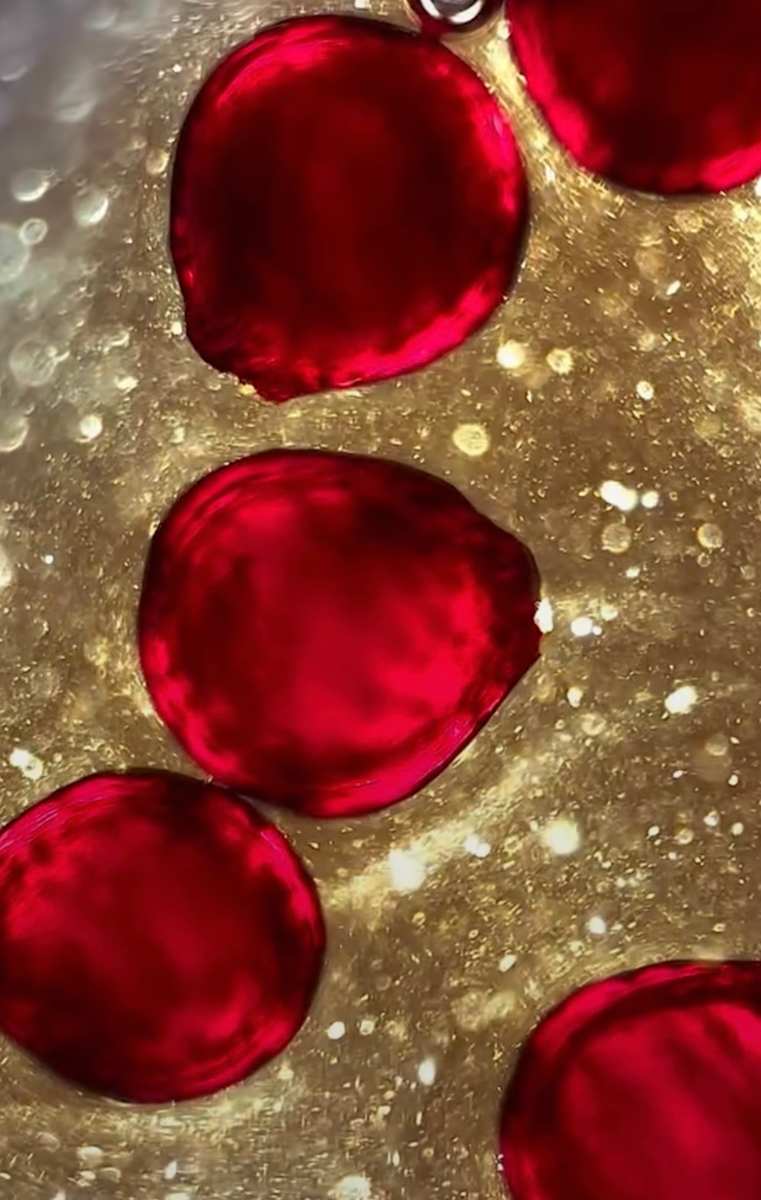 Macro 90 by Robin Moore, Image 11.