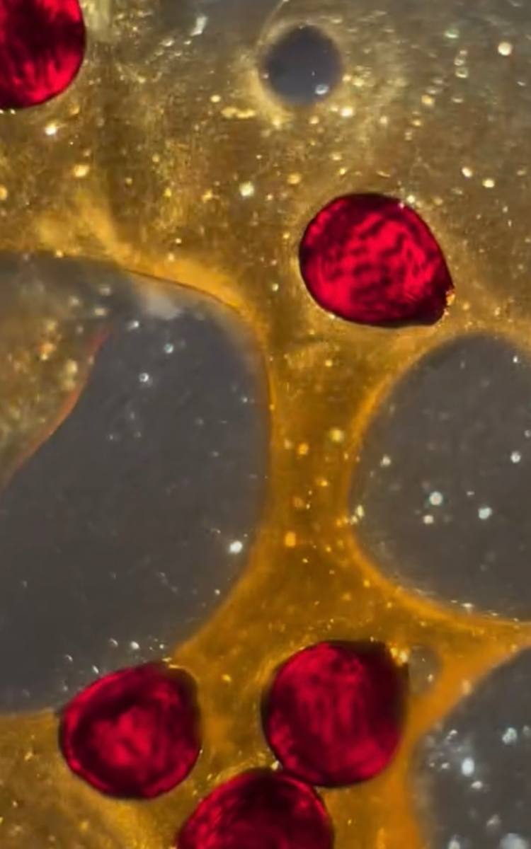 Macro 94 by Robin Moore, Image 6.