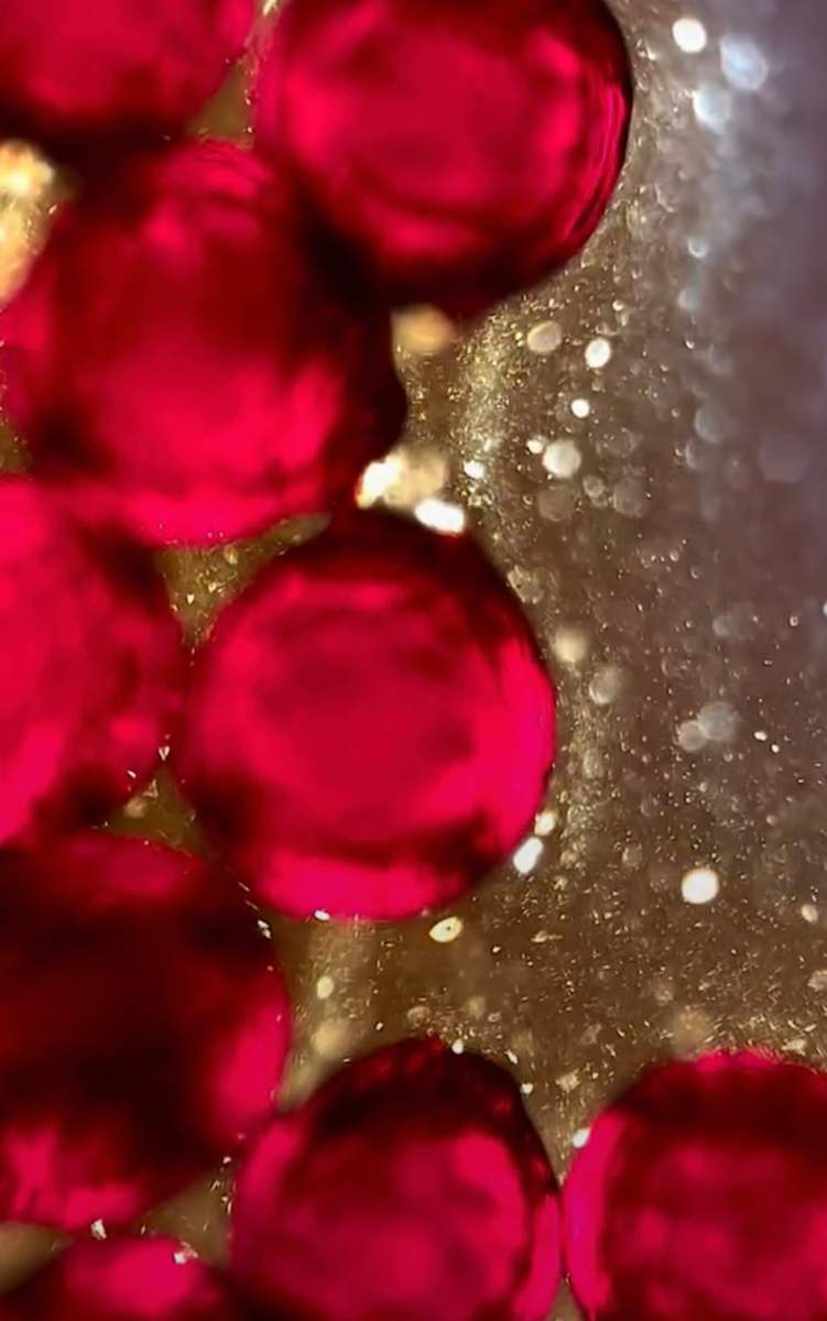 Macro 96 by Robin Moore 