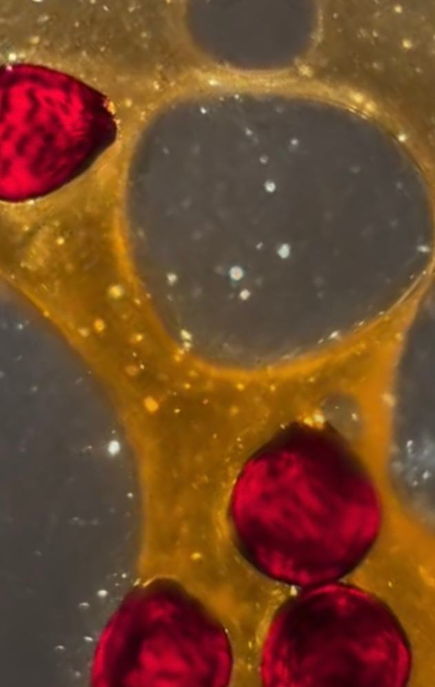 Macro 95 by Robin Moore, Image 5.