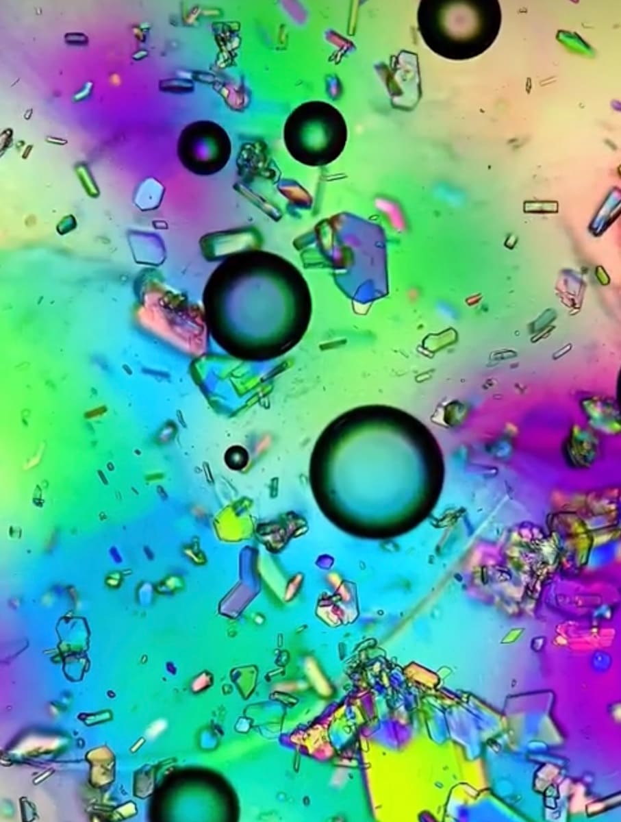 Macro 87 by Robin Moore, Image 7.