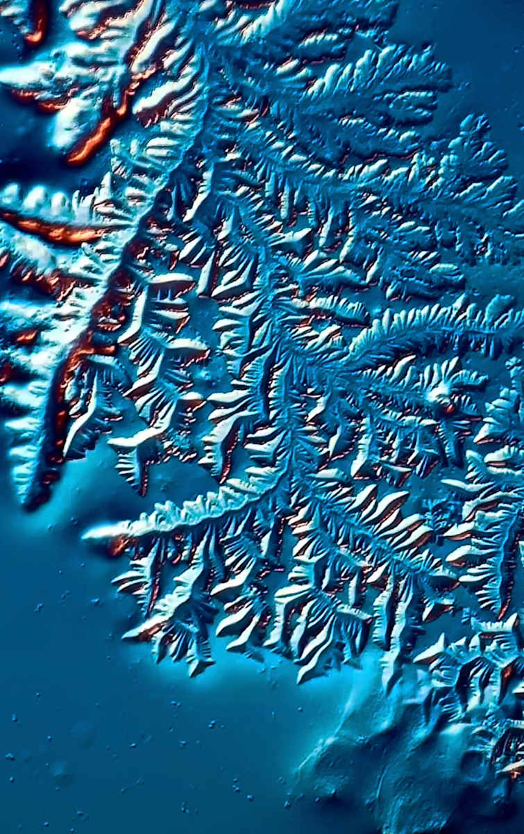 Macro 011 by Robin Moore, Image 10.