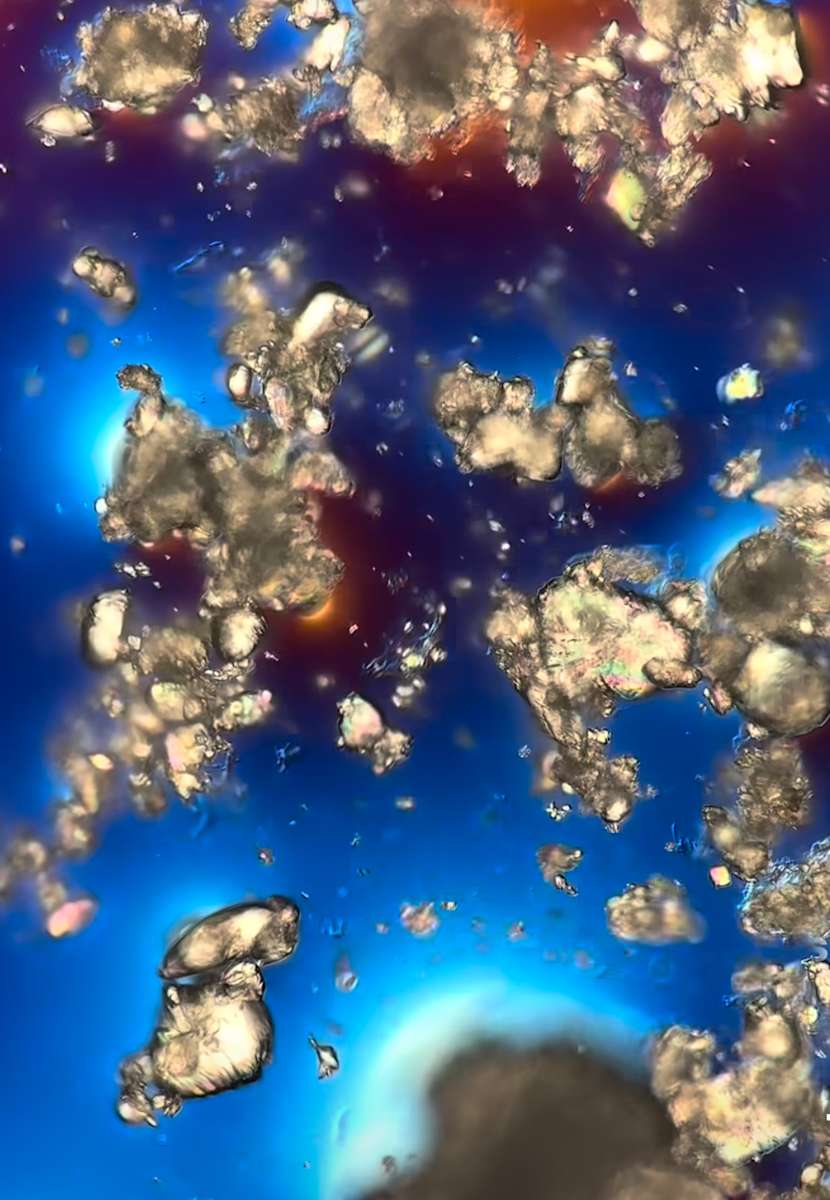 Macro 005 by Robin Moore, Image 16.