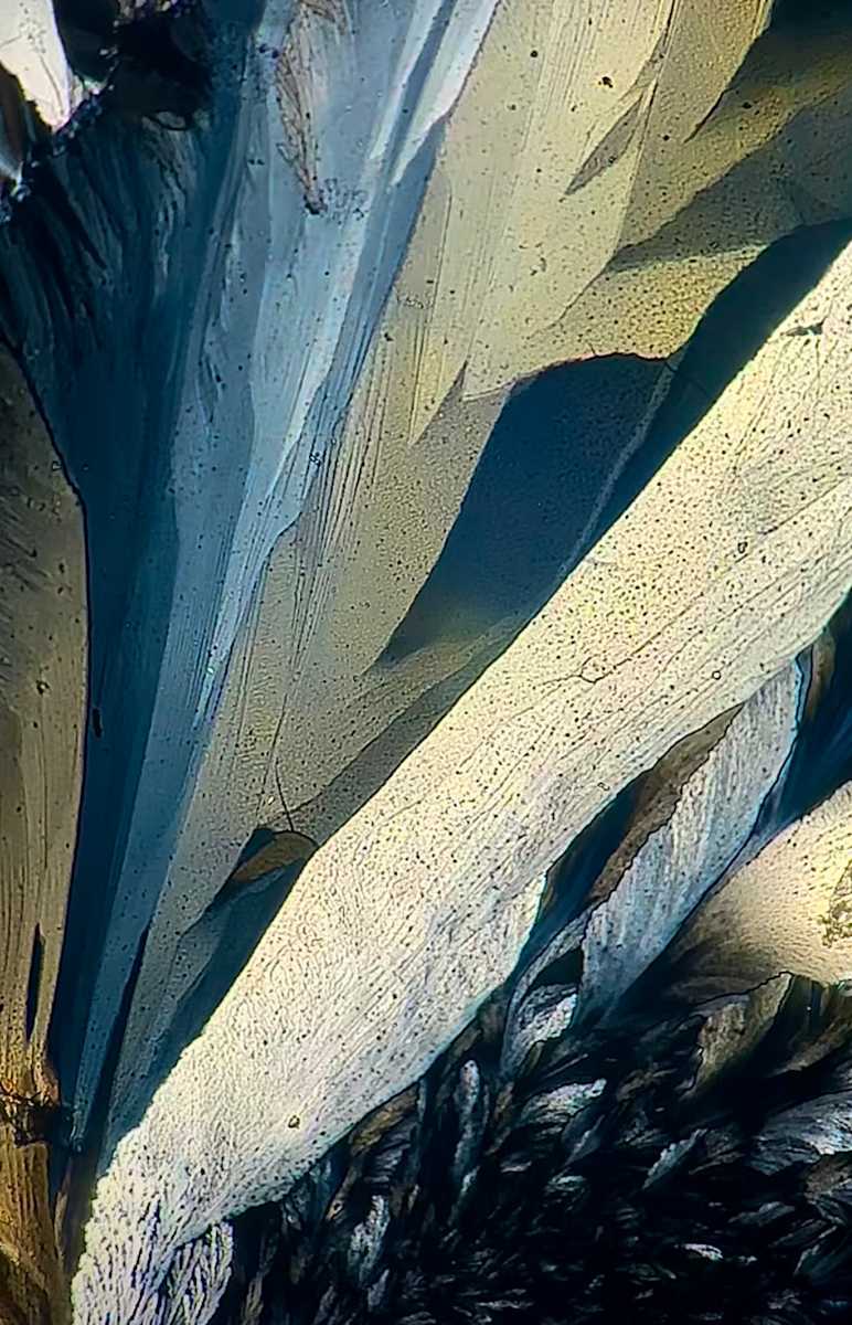Macro 001 by Robin Moore, Image 20.