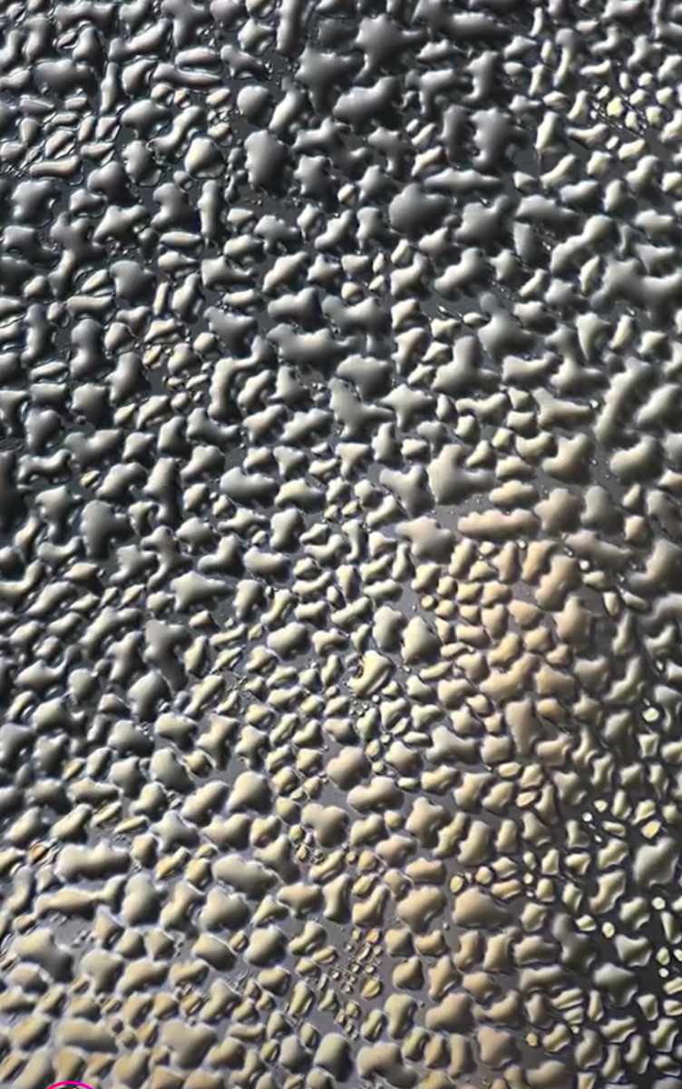 Macro 32 by Robin Moore, Image 9.