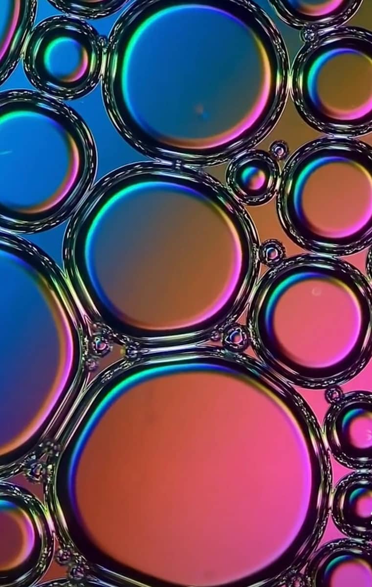 Macro 31 by Robin Moore, Image 10.