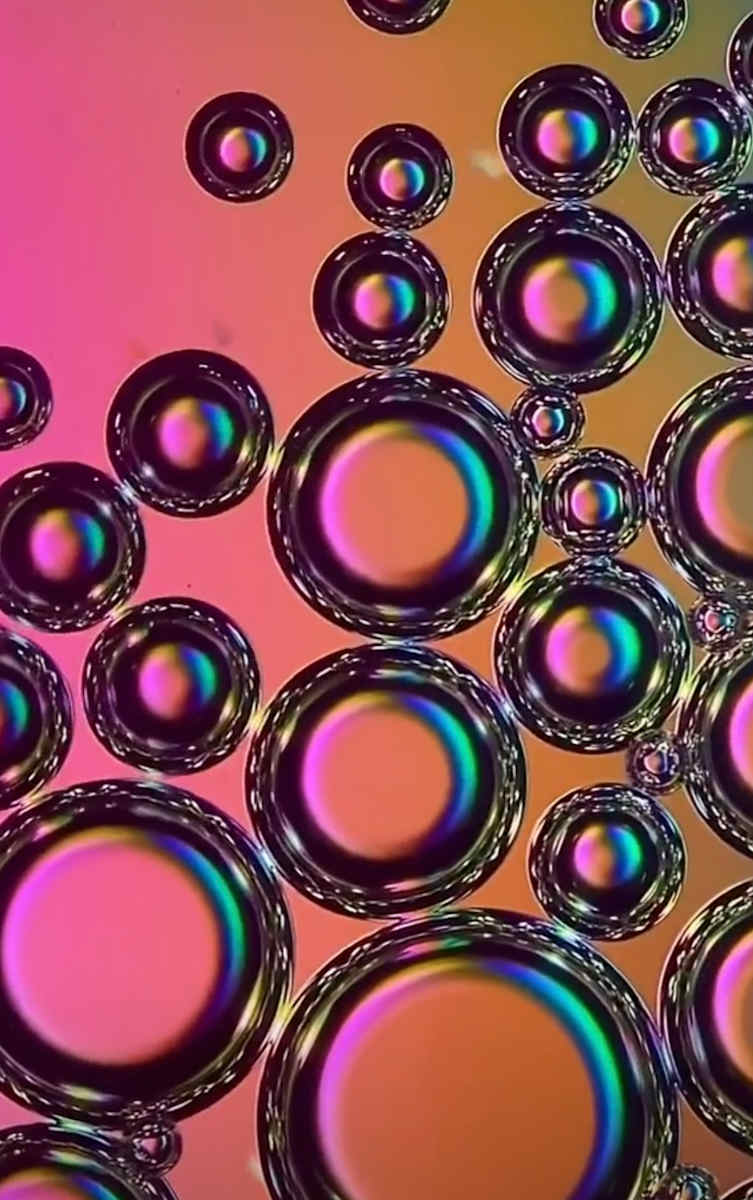 Macro 28 by Robin Moore 