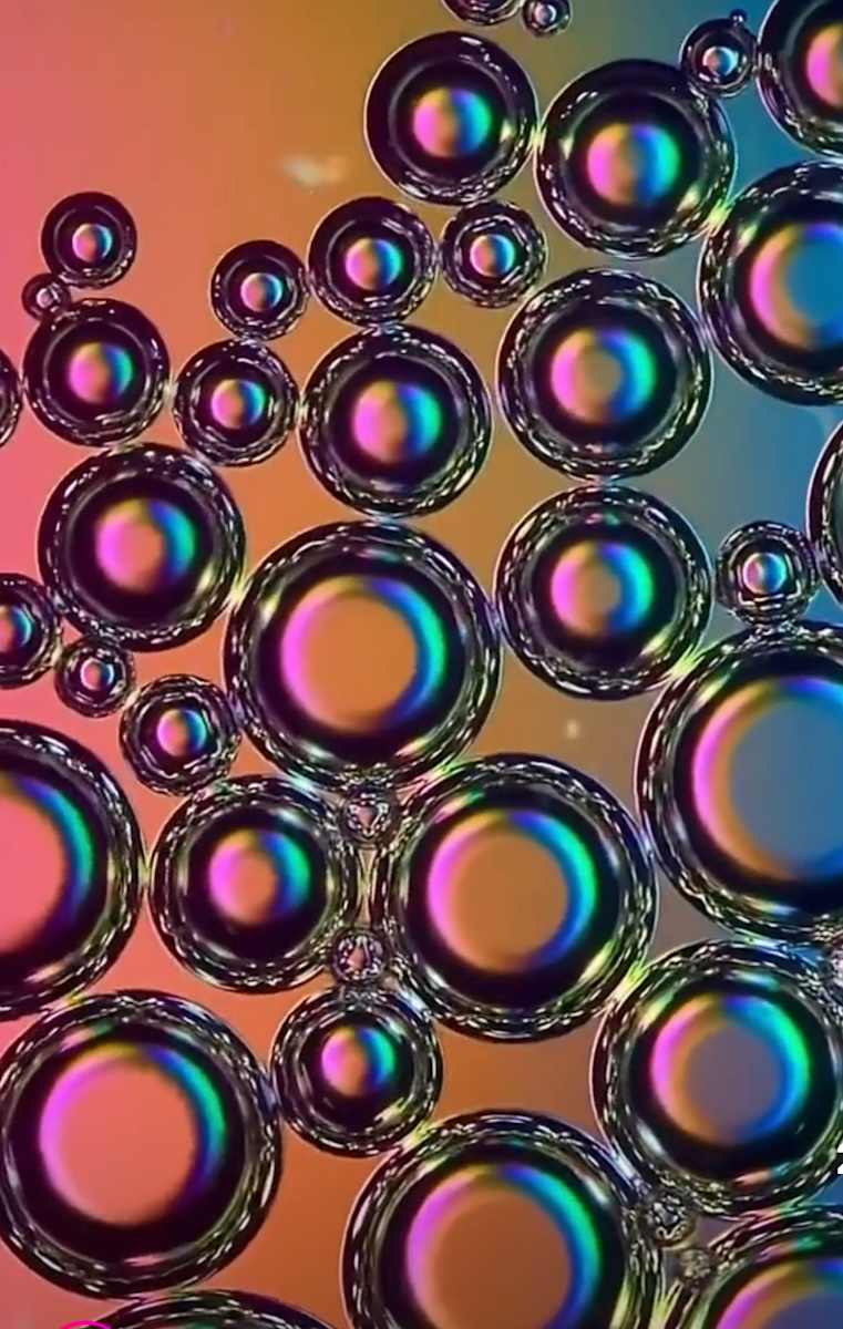 Macro 29 by Robin Moore 