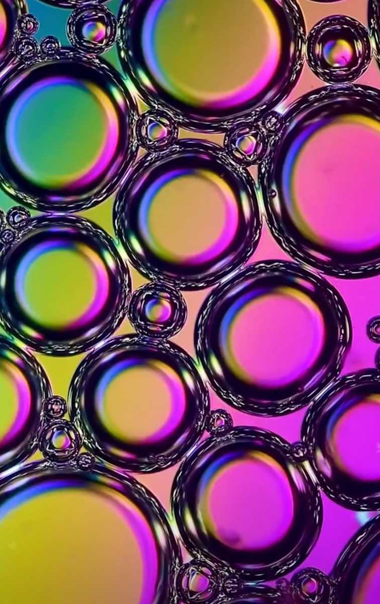 Macro 27 by Robin Moore, Image 14.