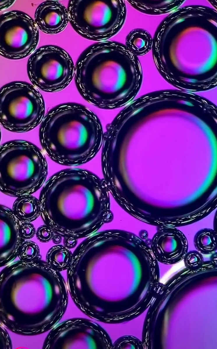 Macro 25 by Robin Moore 