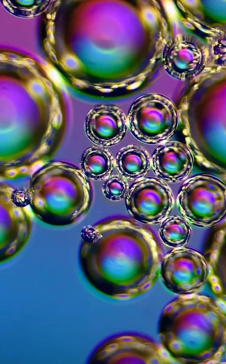 Macro 24 by Robin Moore, Image 17.